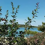 Near The *