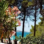 Near The Apartamento *