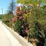 Near The * Srima