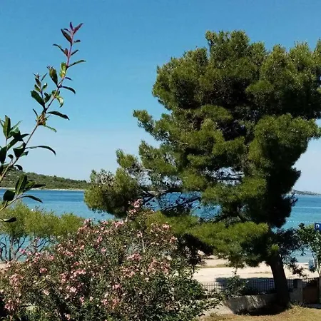 Near The Apartment *