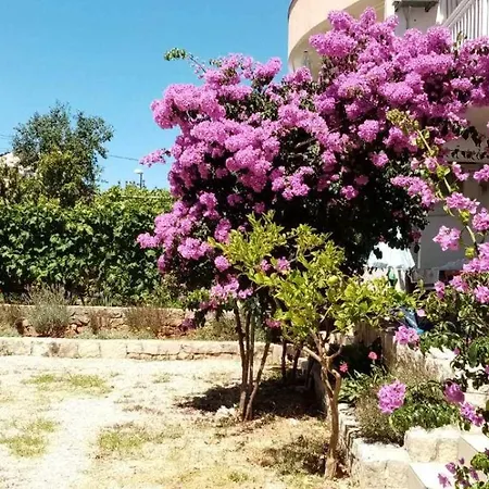 Near The דירה סרימה
