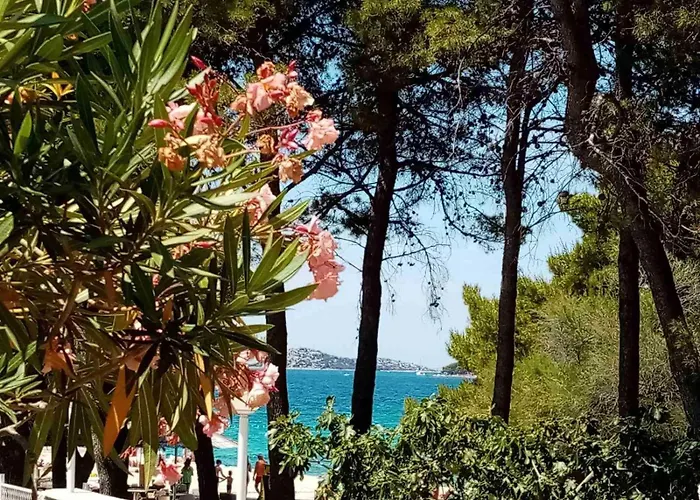 Near The Apartamento *