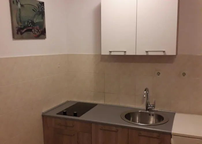 Apartman Near The Srima